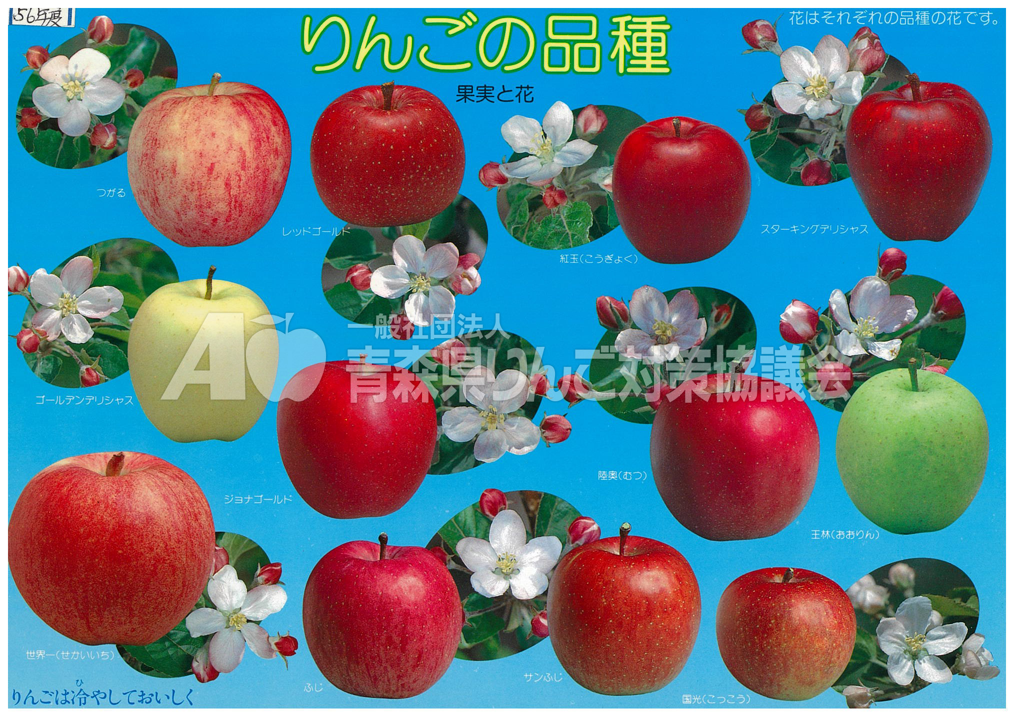 青森りんご下敷き歴史館青森りんご公式サイト（一社）青森県りんご対策