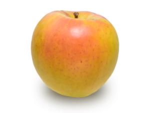 りんごの品種 名月（ぐんま名月）