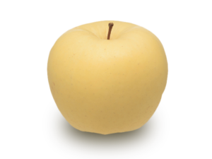 りんごの品種 金星