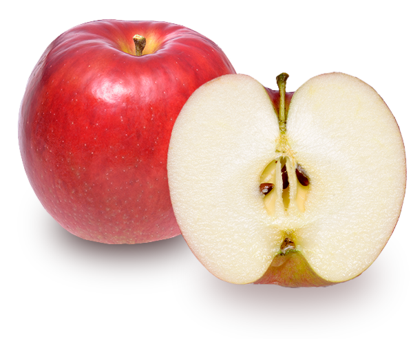 りんごの品種 紅玉