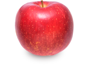 りんごの品種 世界一