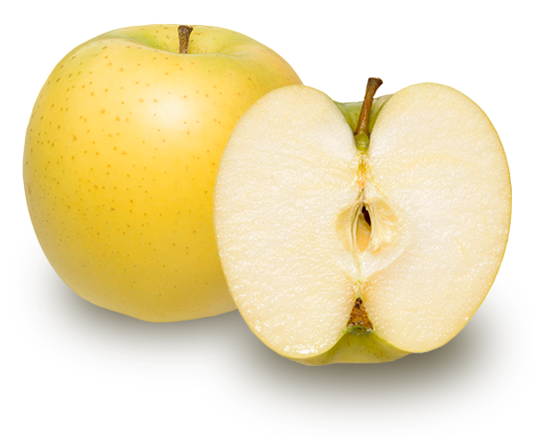 りんごの品種 シナノゴールド