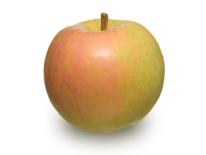 りんごの品種 トキ