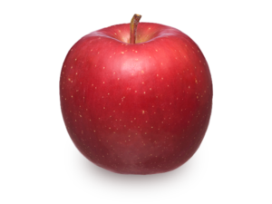 りんごの品種 早生ふじ
