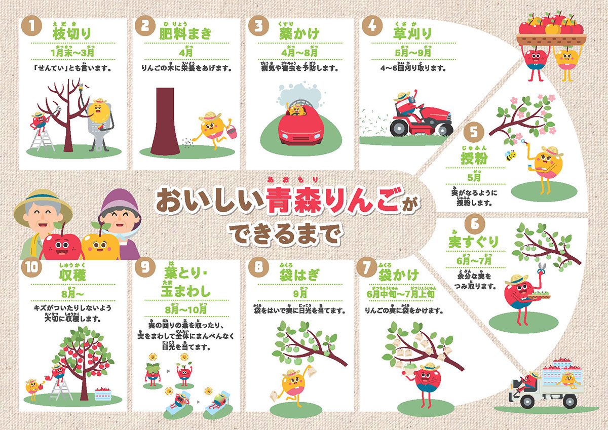 青森りんご下敷き 裏面