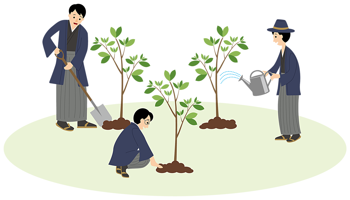 りんごの苗木が青森県へ