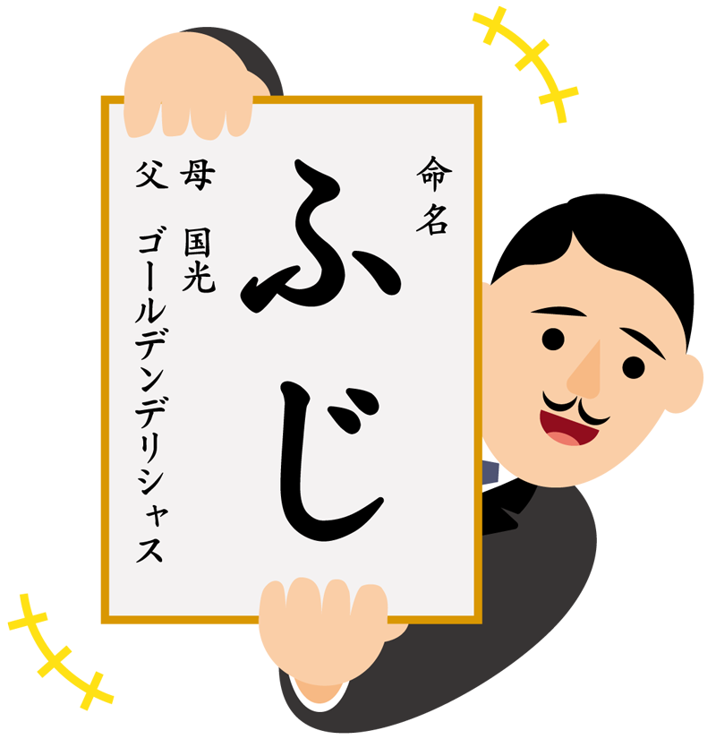 ふじの品種登録