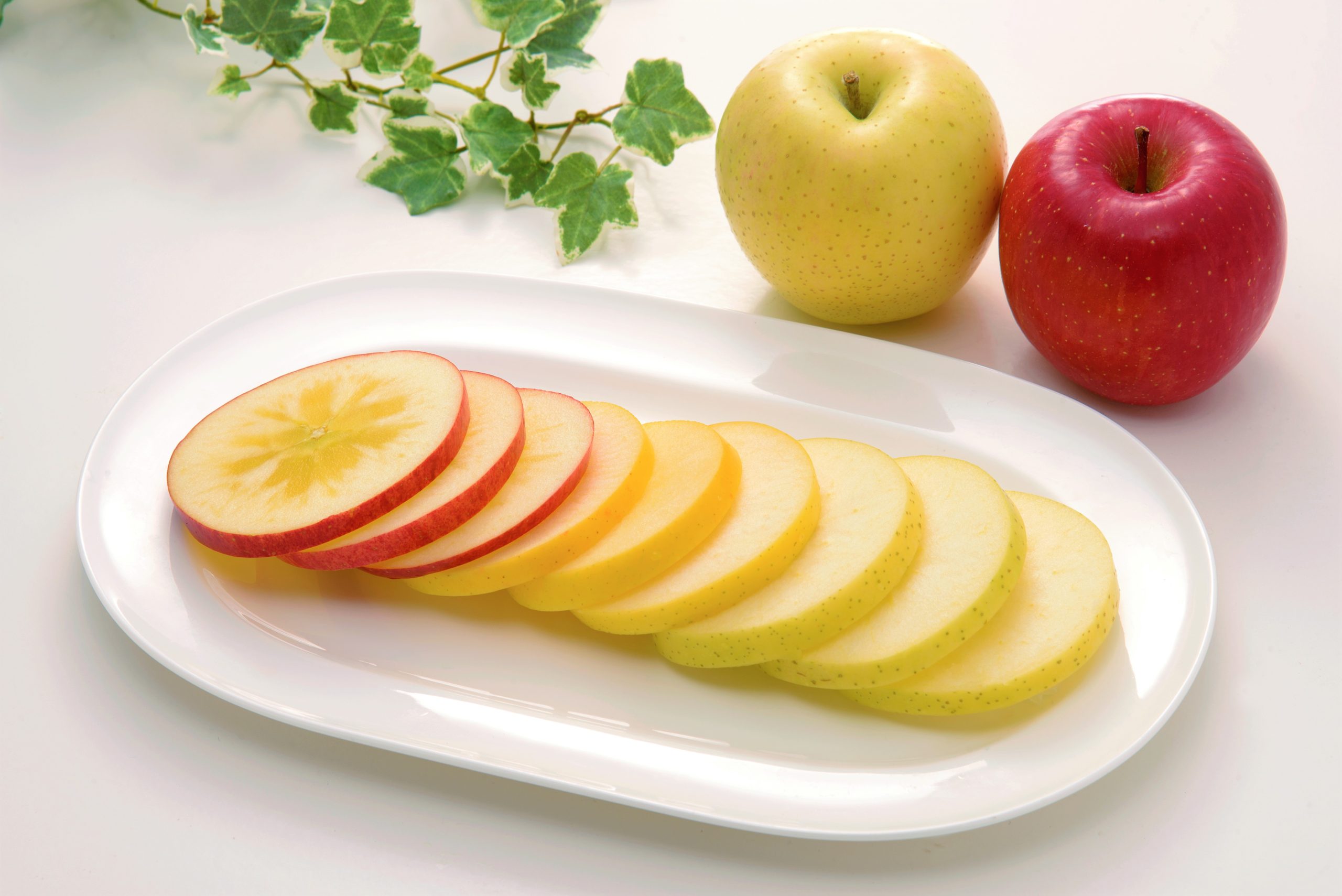 りんごは皮ごと食べて美味しく栄養を摂取 青森りんご公式サイト 一社 青森県りんご対策協議会
