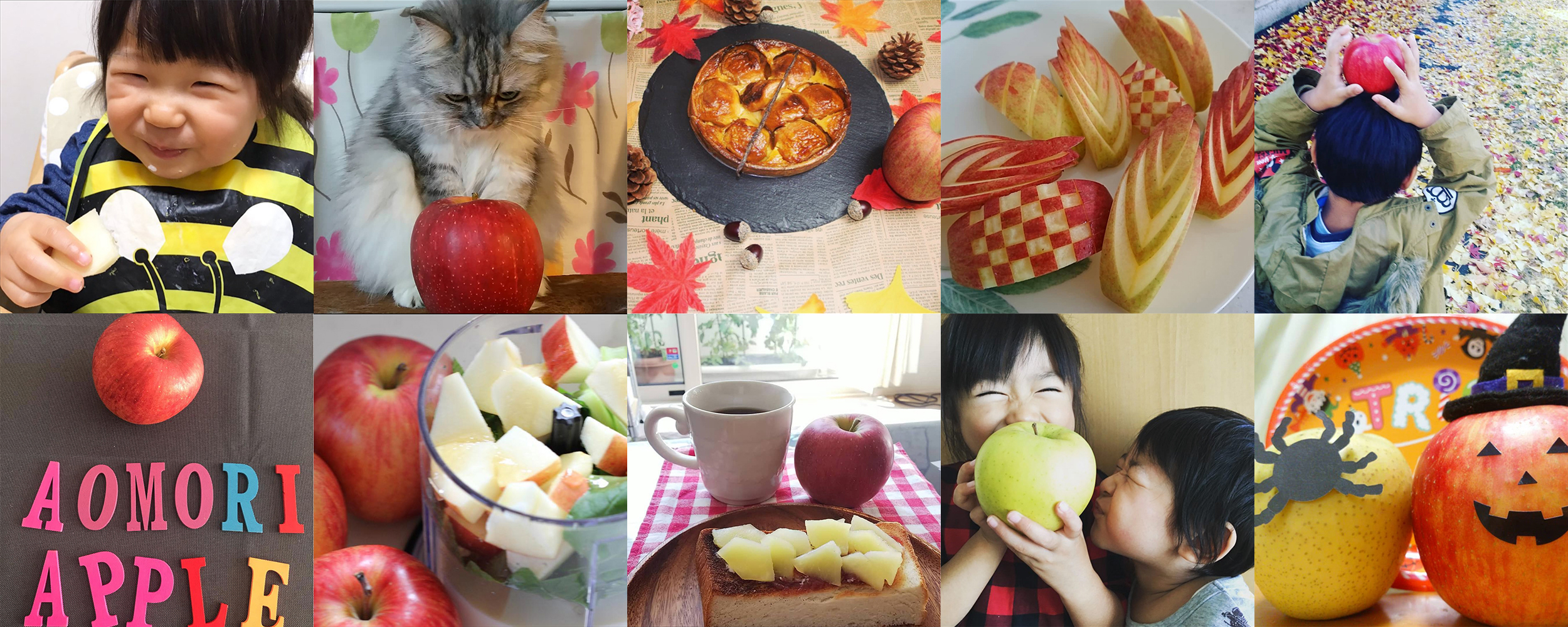私の美活は食べるだけ青森りんごキャンペーン10月結果