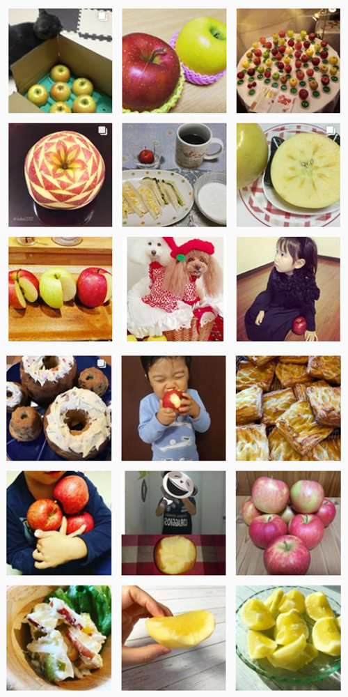 私の美活は食べるだけ青森りんごキャンペーン11月結果
