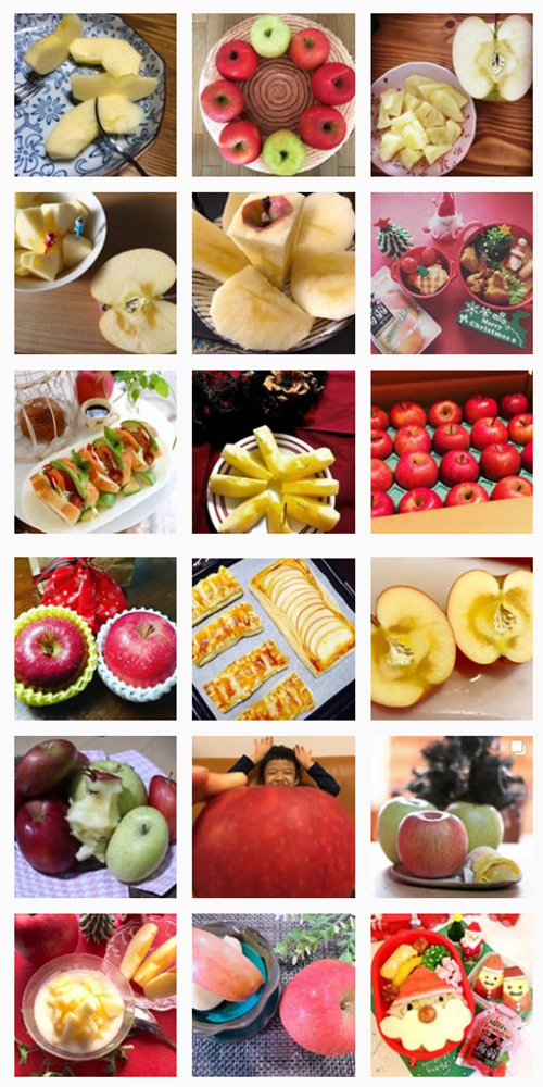 私の美活は食べるだけ青森りんごキャンペーン12月結果