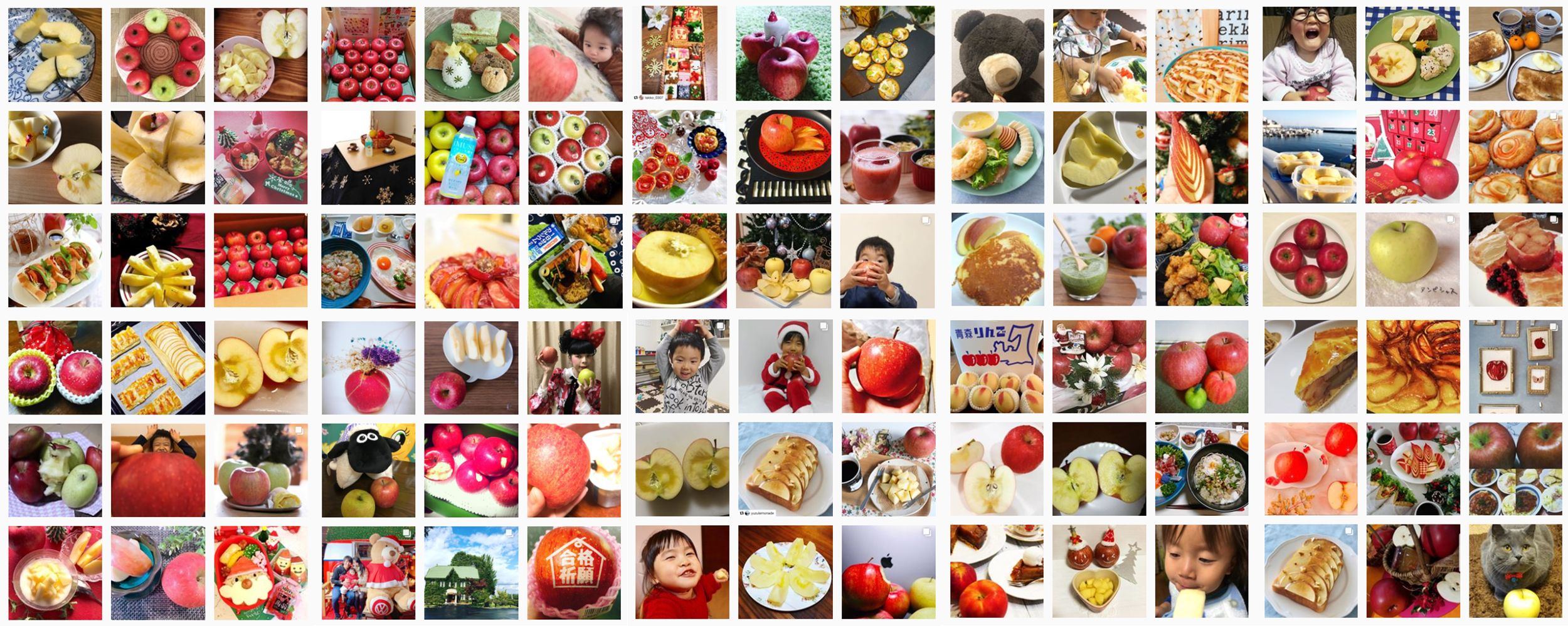私の美活は食べるだけ青森りんごキャンペーン12月結果