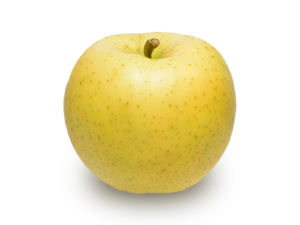 りんごの品種 星の金貨