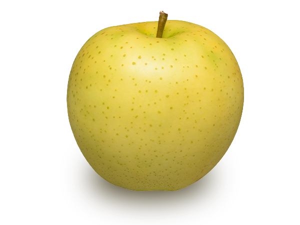 黄色いりんご 青森りんご公式サイト 一社 青森県りんご対策協議会