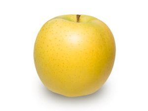 りんごの品種 シナノゴールド