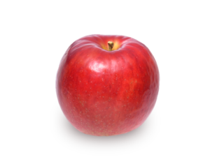 りんごの品種 紅玉