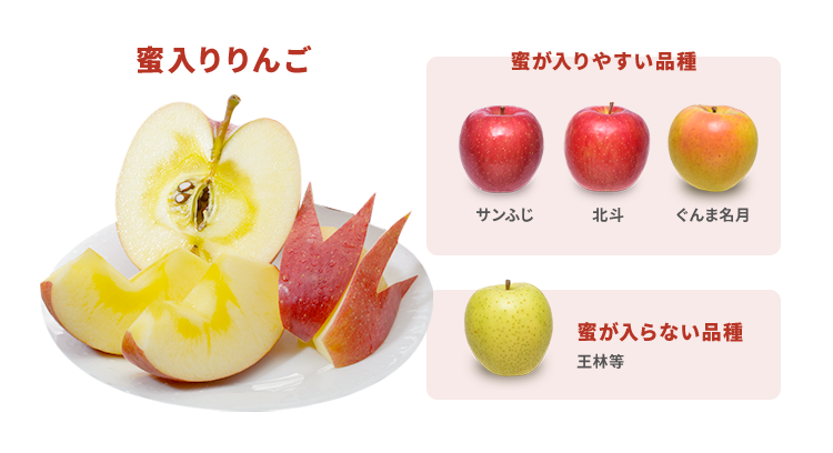 りんごの蜜自体は甘くない 青森りんご公式サイト 一社 青森県りんご対策協議会