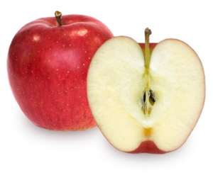 りんごの品種 シナノスイート
