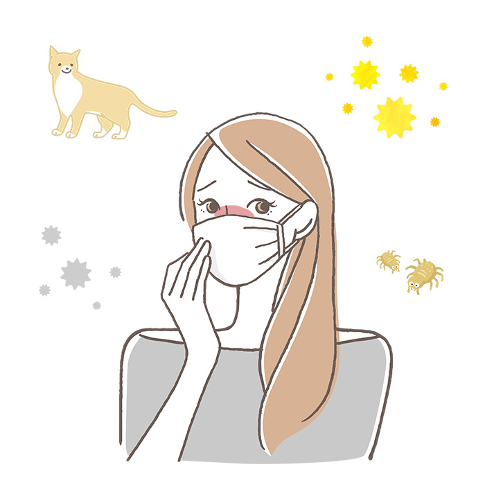 抗アレルギーと免疫力