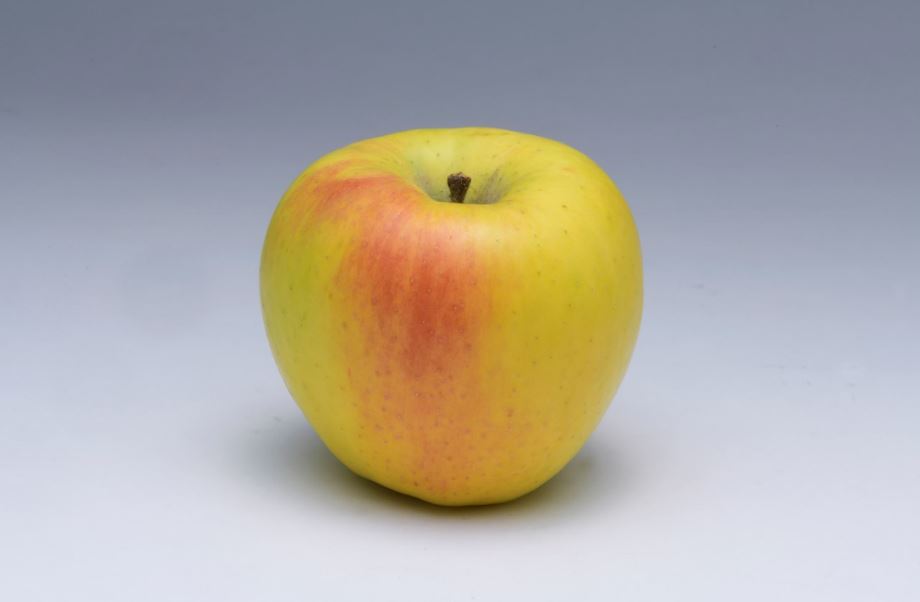 次のりんごのうち、完熟しても蜜が入りにくい品種はどれ？