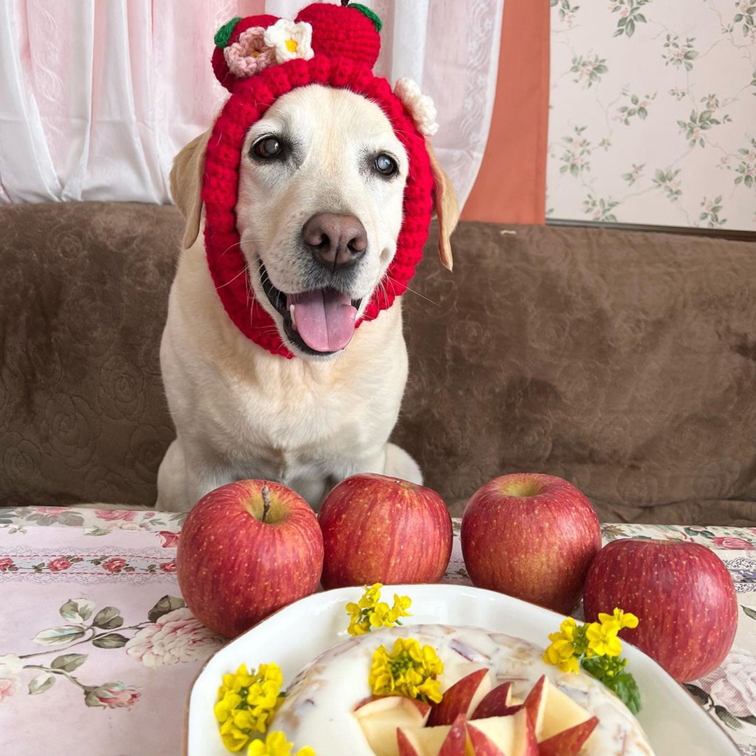 青森りんご公式 Instagram#投稿キャンペーン2023年2月今月の抽選賞
