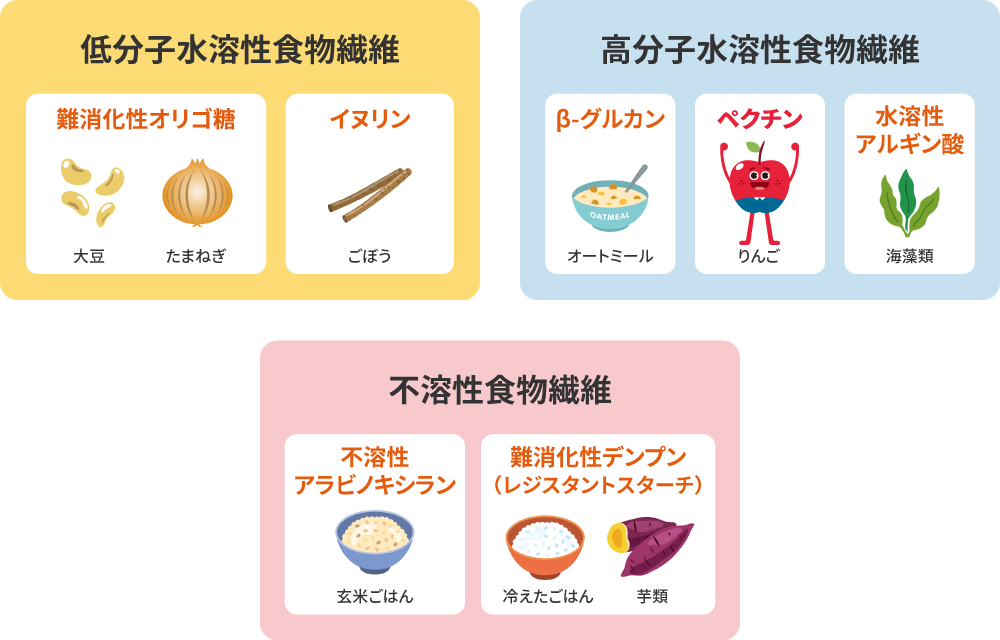 発酵性食物繊維の種
