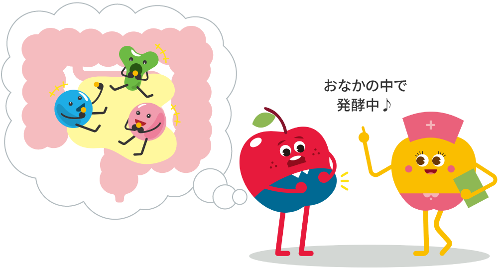発酵性食物繊維の摂取